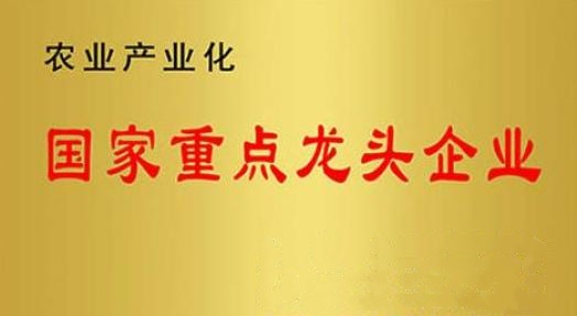 國家重點(diǎn)龍頭企業(yè)！山東三星集團(tuán)連續(xù)上榜